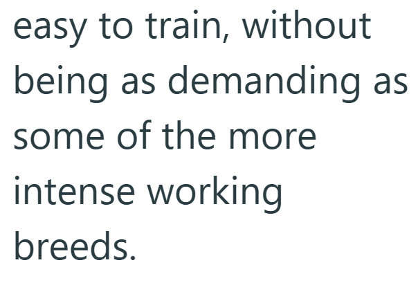 easy to train, without being as demanding as some of the more intense working breeds.