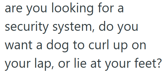 are you looking for a security system, do you want a dog to curl up on your lap, or lie at your feet?