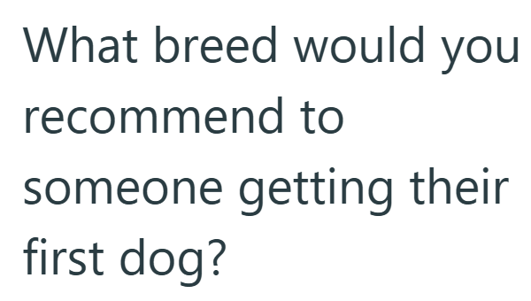 What breed would you recommend to someone getting their first dog?