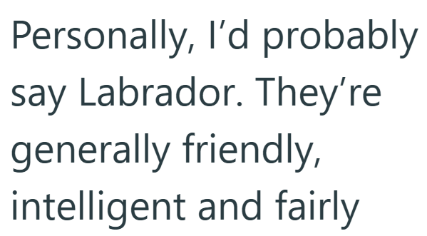 Personally, I'd probably say Labrador. They're generally friendly, intelligent and fairly