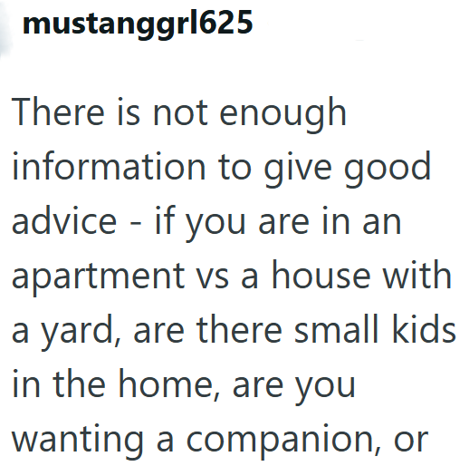 mustanggr1625 There is not enough information to give good advice if you are in an apartment vs a house with a yard, are there small kids in the home, are you wanting a companion, or