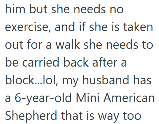 him but she needs no exercise, and if she is taken out for a walk she needs to be carried back after a block...lol, my husband has a 6-year-old Mini American Shepherd that is way too
