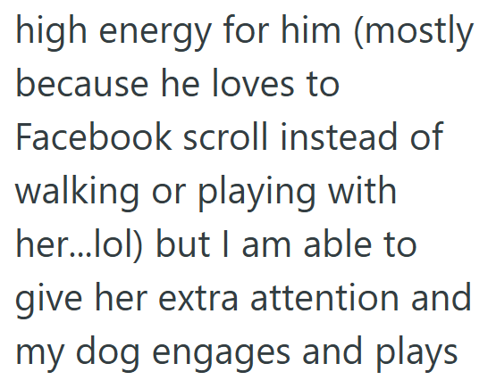 high energy for him (mostly because he loves to Facebook scroll instead of walking or playing with her...lol) but I am able to give her extra attention and my dog engages and plays