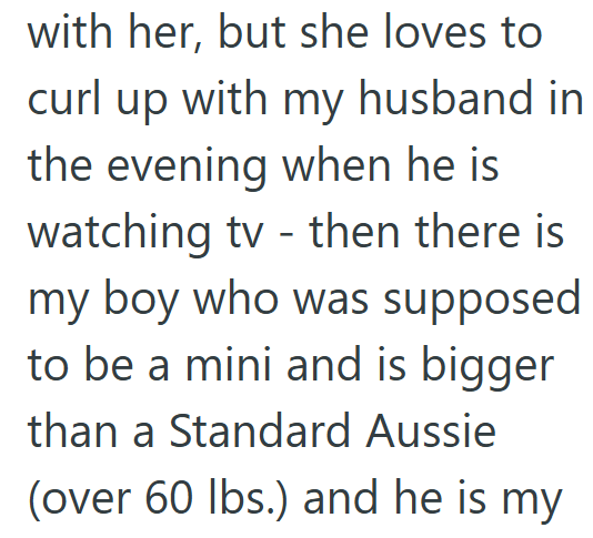 with her, but she loves to curl up with my husband in the evening when he is watching tv - then there is my boy who was supposed to be a mini and is bigger than a Standard Aussie (over 60 lbs.) and he is my