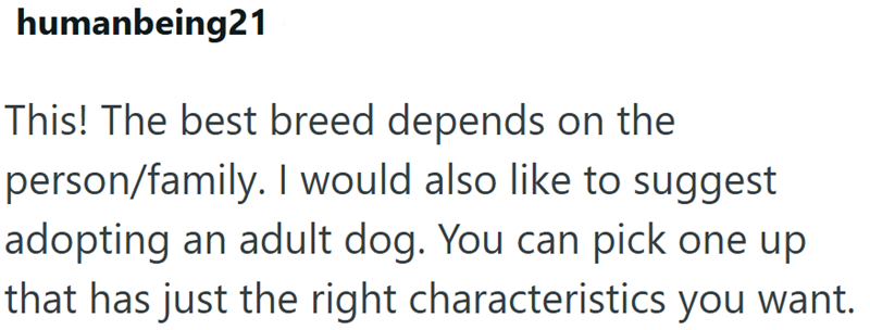 humanbeing21 This! The best breed depends on the person/family. I would also like to suggest adopting an adult dog. You can pick one up that has just the right characteristics you want.