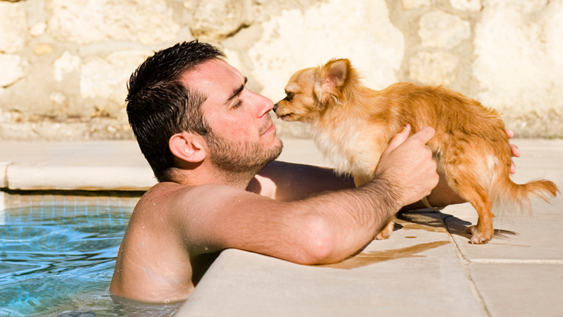 A young man in a backyard pool is leaning on the ledge, petting an old Chihuahua dog standing in front of him.