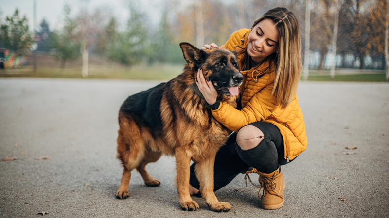 A woman bends to pet her German Shepherd, which stands on the pavement. The woman is happy and smiles, and the dog looks relaxed.
