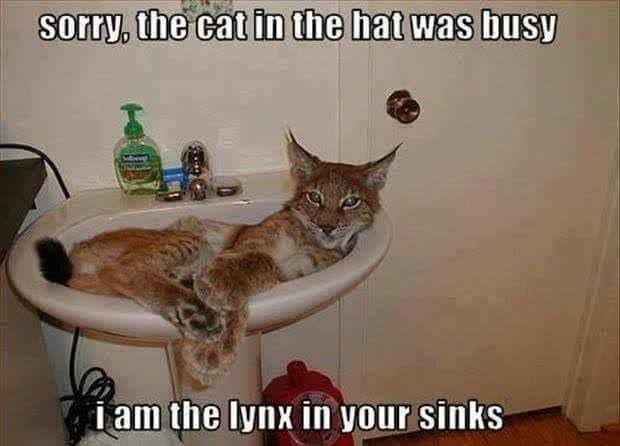 Sorry, the cat in the hat was busy i am the lynx in your sinks