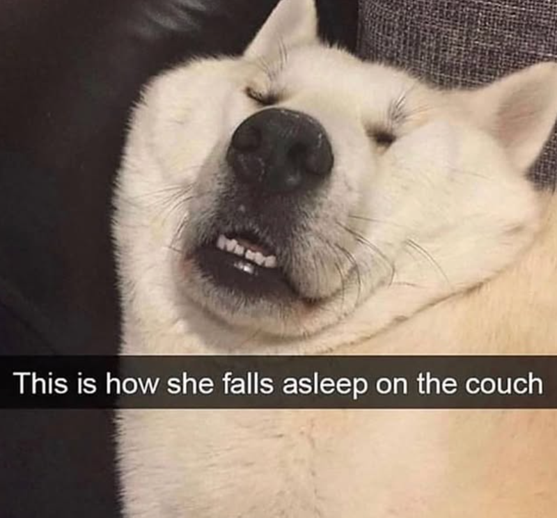 This is how she falls asleep on the couch