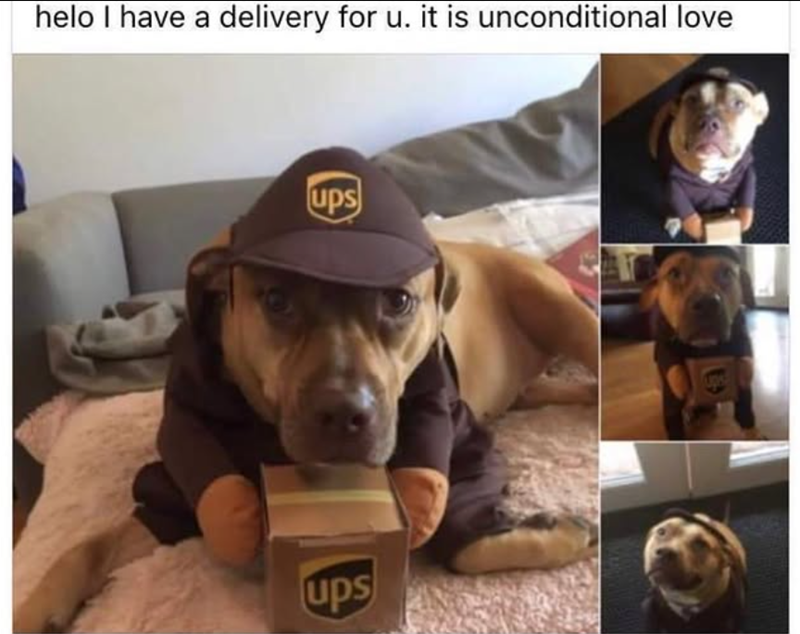 helo I have a delivery for u. it is unconditional love ups ups