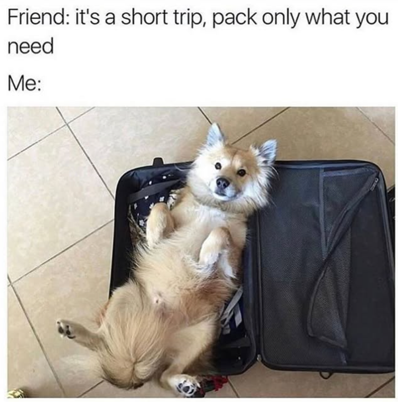 Friend: it's a short trip, pack only what you need Me:
