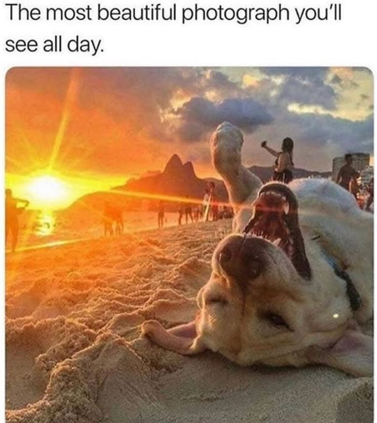 The most beautiful photograph you'll see all day.