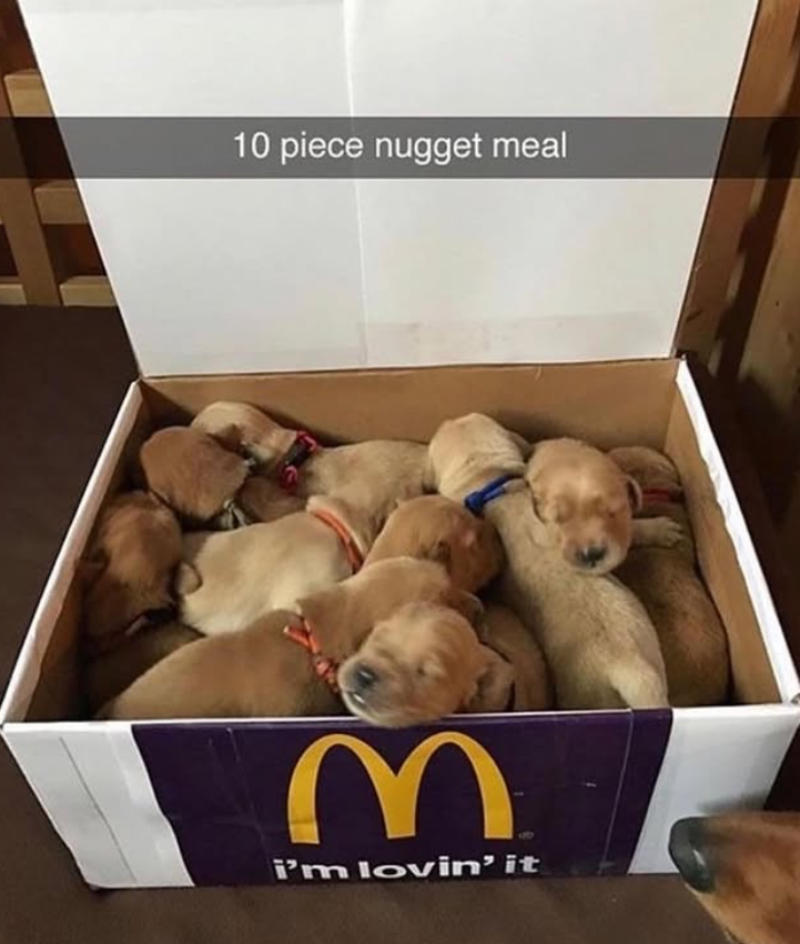 10 piece nugget meal M i'm lovin' it