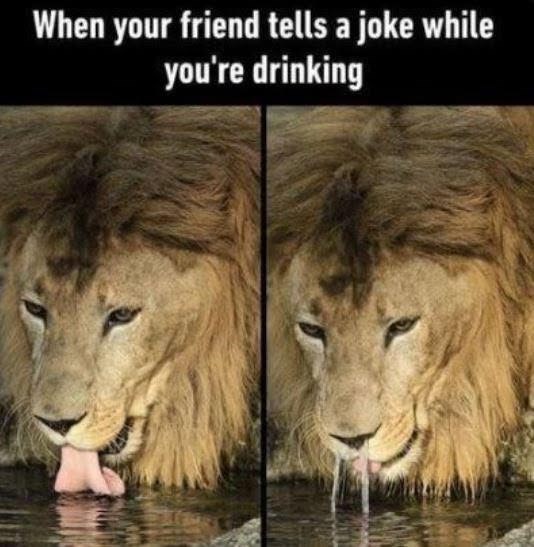 When your friend tells a joke while you're drinking