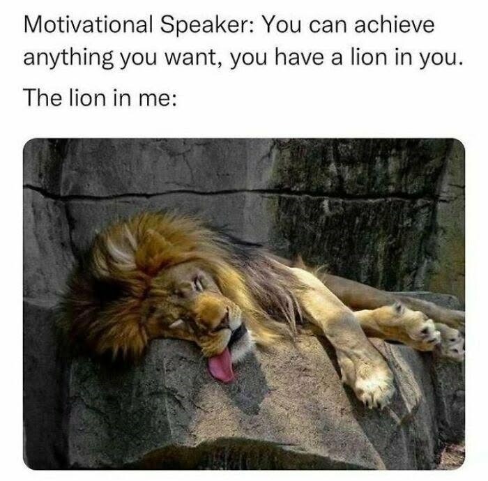Motivational Speaker: You can achieve anything you want, you have a lion in you. The lion in me:
