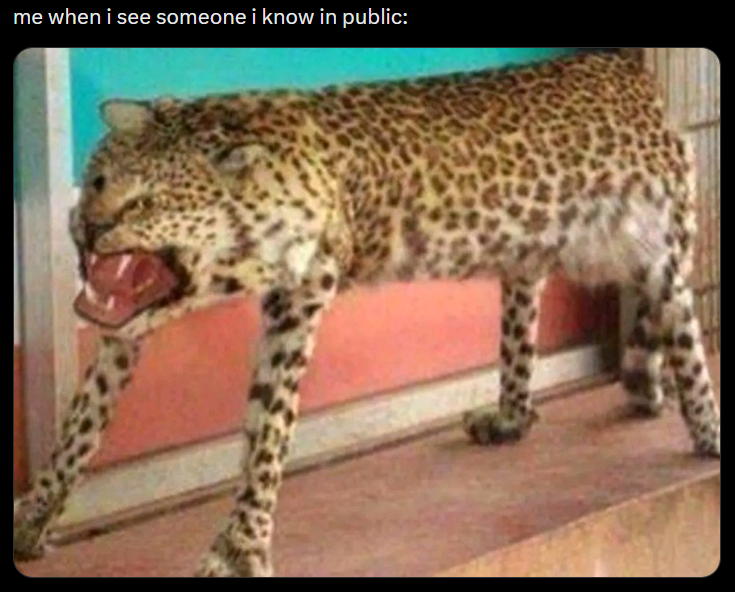 me when i see someone i know in public: