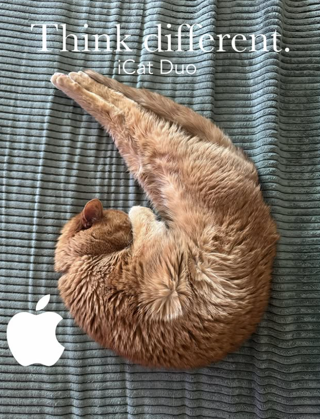 Think different. iCat Duo