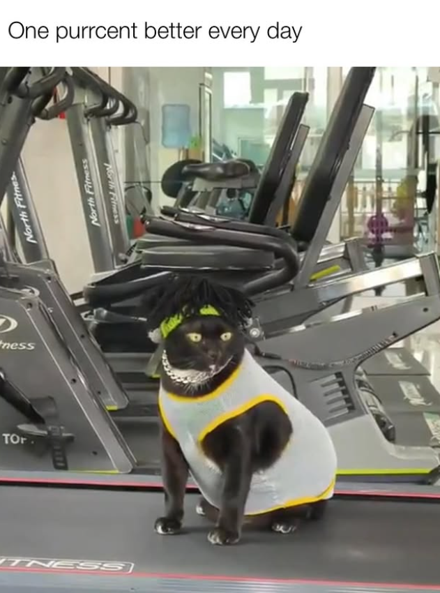 ness TOP North Fitnes TNESS One purrcent better every day North Fitness North Fitness