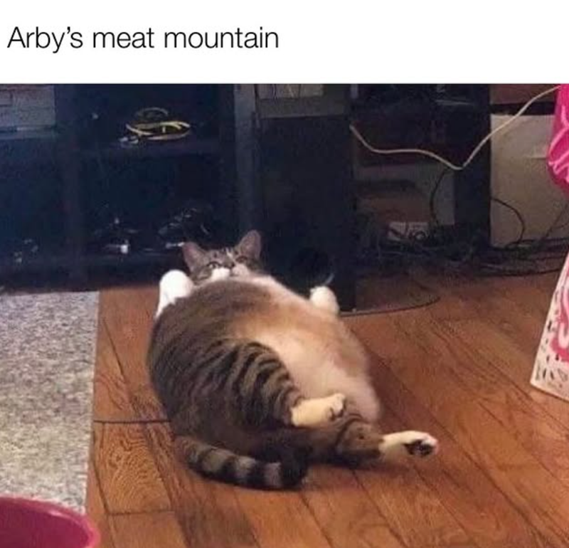 Arby's meat mountain
