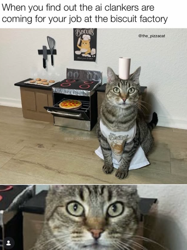 When you find out the ai clankers are coming for your job at the biscuit factory BISCUITS @the_pizzacat DO 33 the pizzacat Biscuk