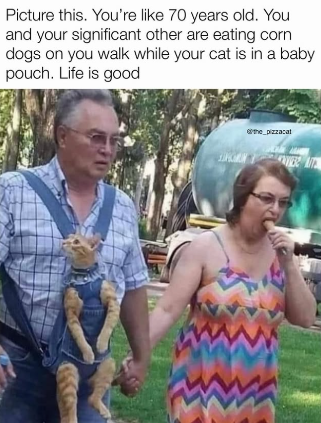 Picture this. You're like 70 years old. You and your significant other are eating corn dogs on you walk while your cat is in a baby pouch. Life is good @the_pizzacat