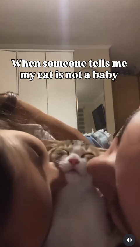 When someone tells me my cat is not a baby