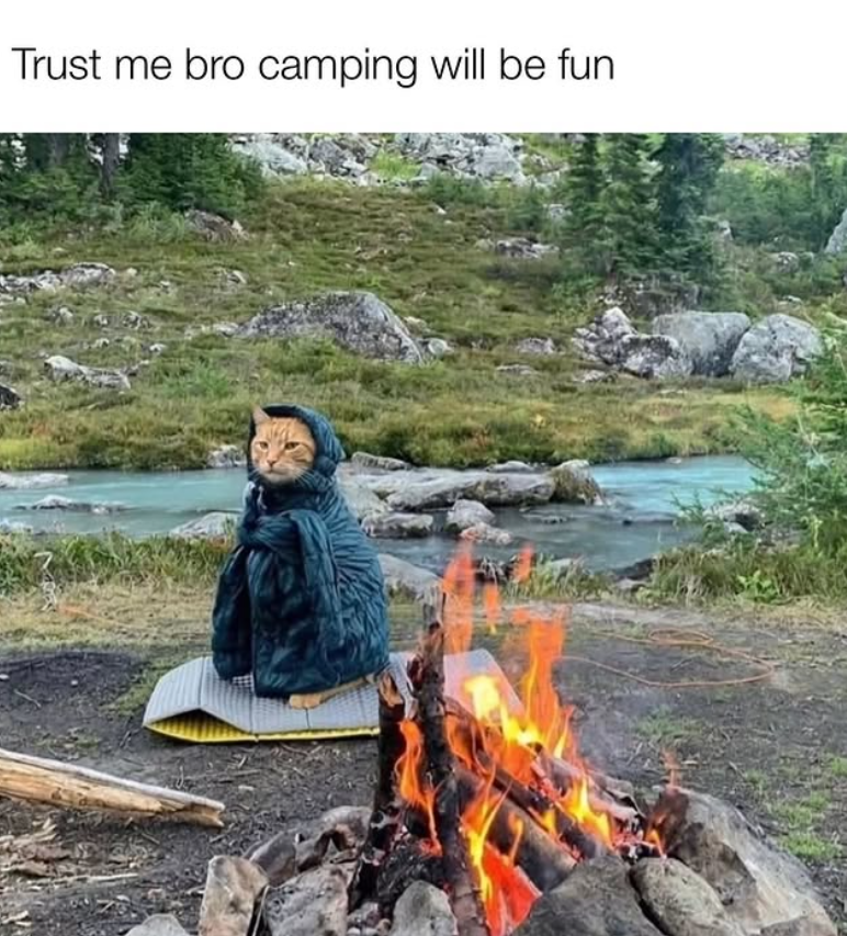 Trust me bro camping will be fun