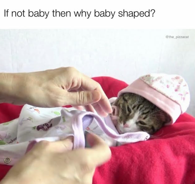 phar If not baby then why baby shaped? @the_pizzacat