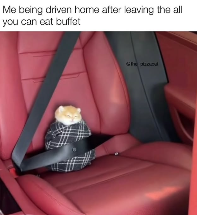 Me being driven home after leaving the all you can eat buffet @the_pizzacat