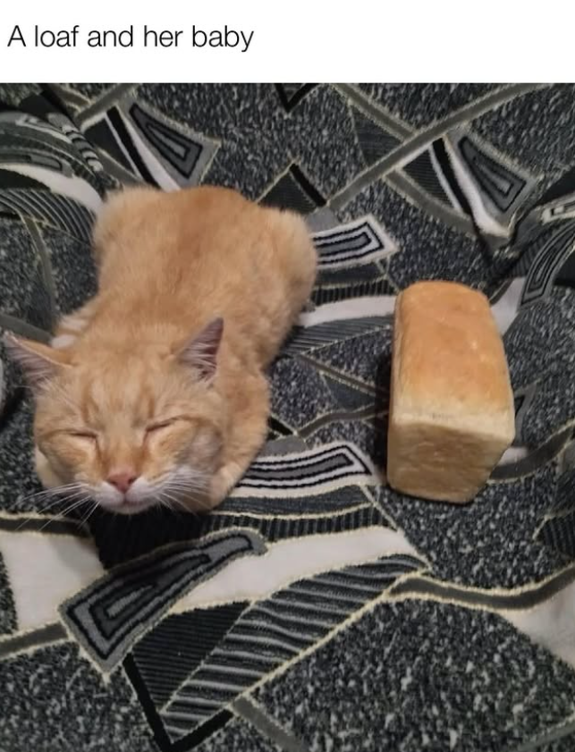 A loaf and her baby