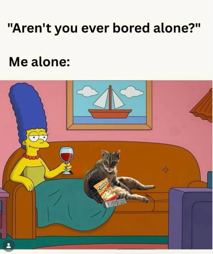 "Aren't you ever bored alone?" Me alone: D Cheetas