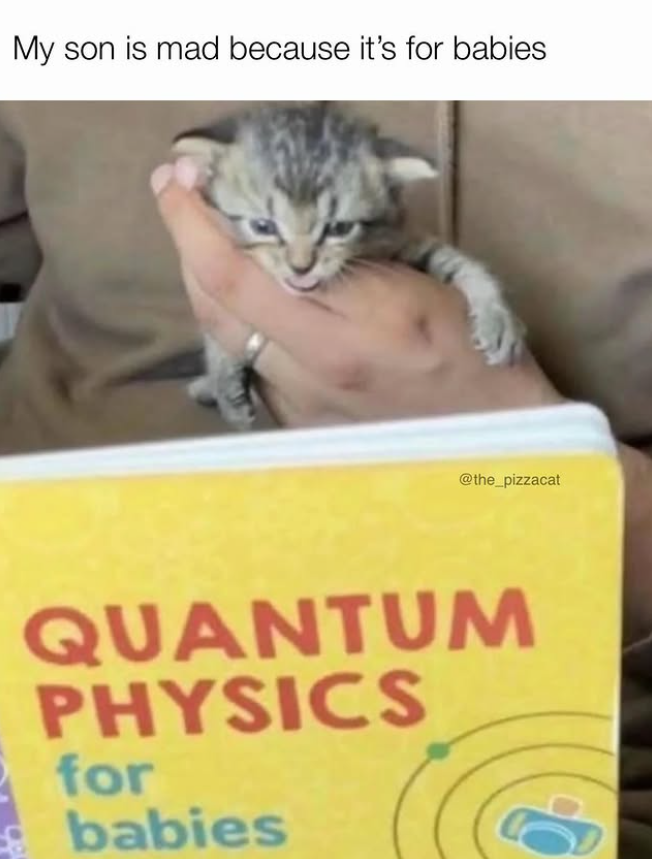 My son is mad because it's for babies @the_pizzacat QUANTUM PHYSICS for babies
