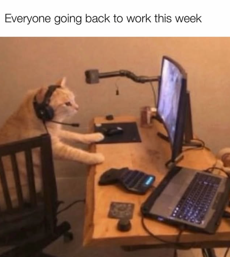 Everyone going back to work this week