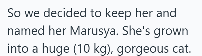 So we decided to keep her and named her Marusya. She's grown into a huge (10 kg), gorgeous cat.