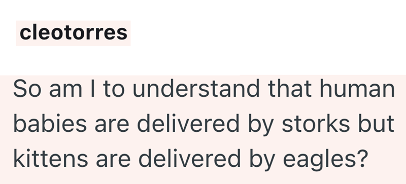 cleotorres So am I to understand that human babies are delivered by storks but kittens are delivered by eagles?