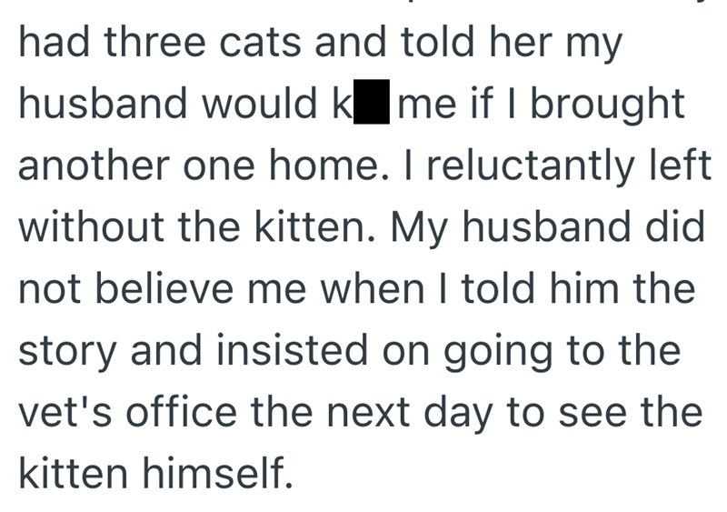 had three cats and told her my husband would k me if I brought another one home. I reluctantly left without the kitten. My husband did not believe me when I told him the story and insisted on going to the vet's office the next day to see the kitten himself.
