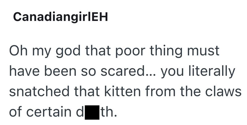 CanadiangirlEH Oh my god that poor thing must have been so scared... you literally snatched that kitten from the claws. of certain d th.