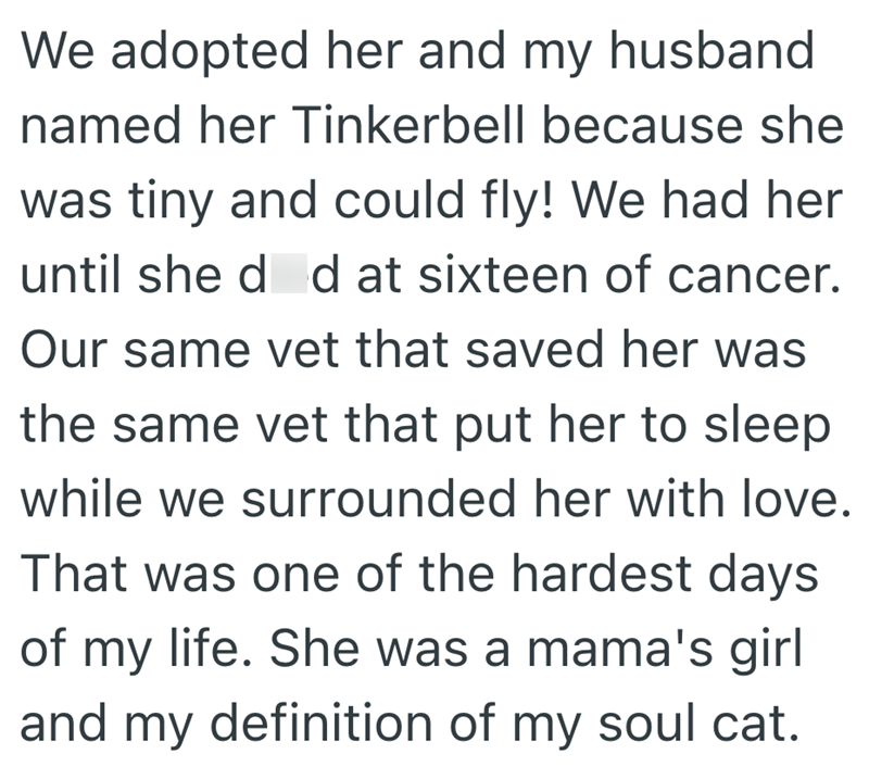 We adopted her and my husband named her Tinkerbell because she was tiny and could fly! We had her until she d d at sixteen of cancer. Our same vet that saved her was the same vet that put her to sleep while we surrounded her with love. That was one of the hardest days of my life. She was a mama's girl and my definition of my soul cat.