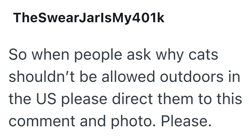 TheSwearJarlsMy401k So when people ask why cats shouldn't be allowed outdoors in the US please direct them to this comment and photo. Please.