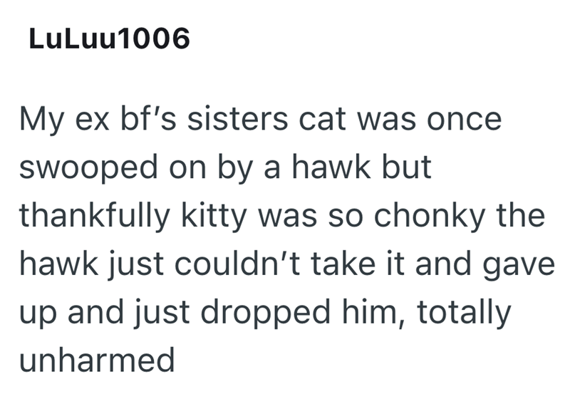 LuLuu1006 My ex bf's sisters cat was once swooped on by a hawk but thankfully kitty was so chonky the hawk just couldn't take it and gave up and just dropped him, totally unharmed