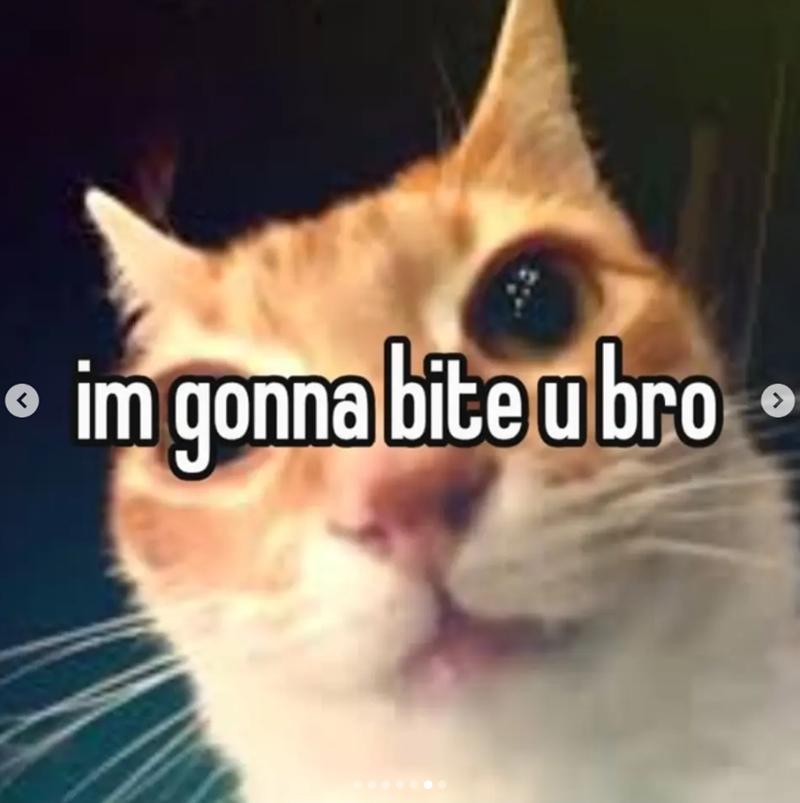 < im gonna bite u bro >