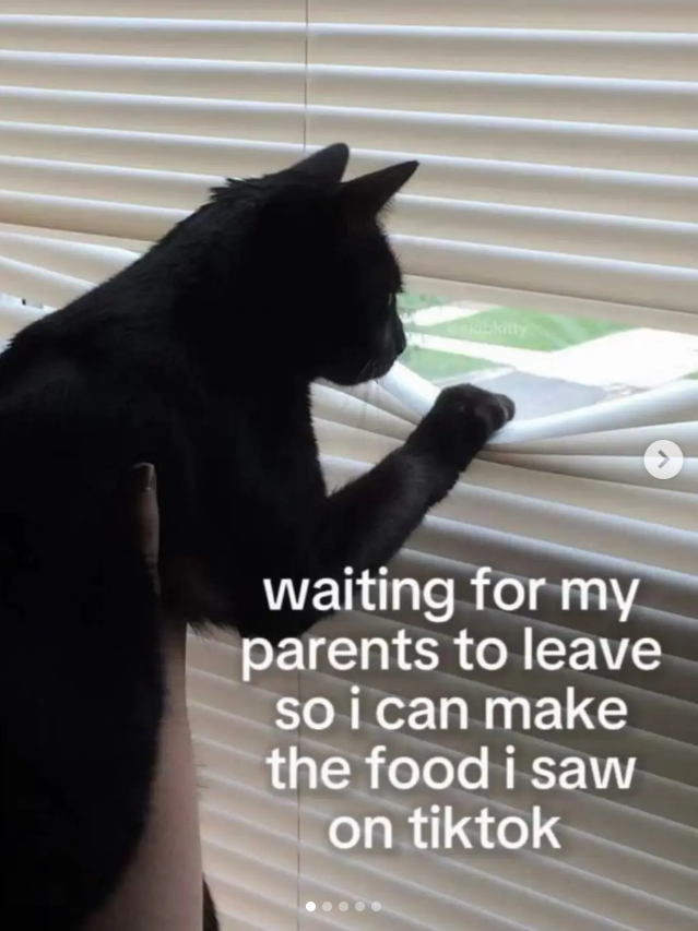 waiting for my parents to leave so i can make the food i saw on tiktok