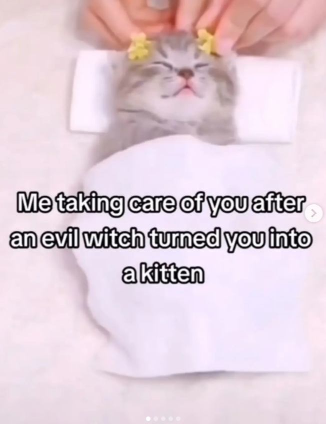 > Me taking care of you after an evil witch turned you into a kitten