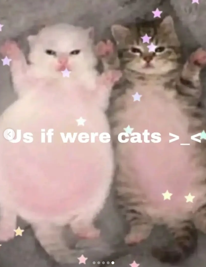 Us if were cats >_< -