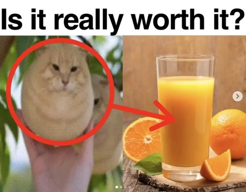 Is it really worth it? >