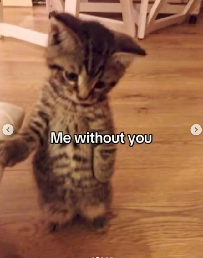 < Me without you >
