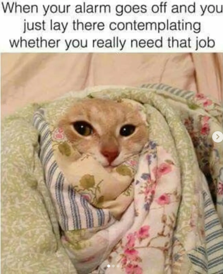 When your alarm goes off and you just lay there contemplating whether you really need that job >
