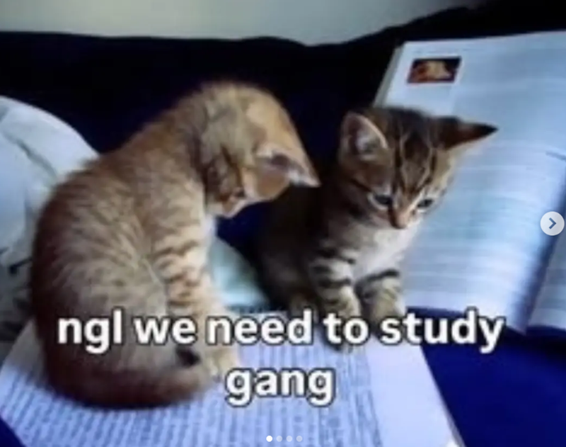 ngl we need to study gang >