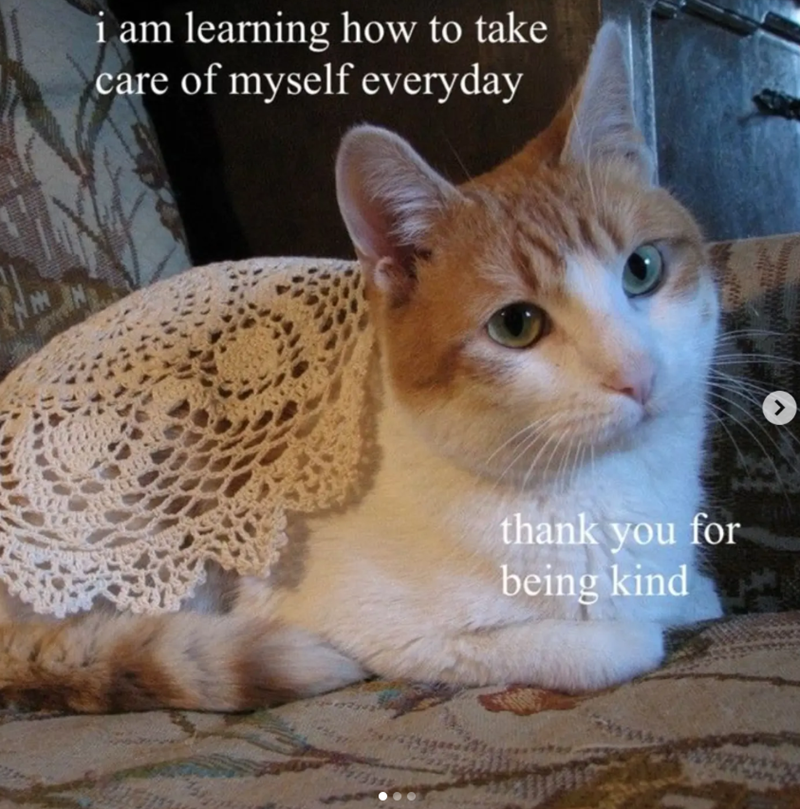 i am learning how to take care of myself everyday thank you for being kind >