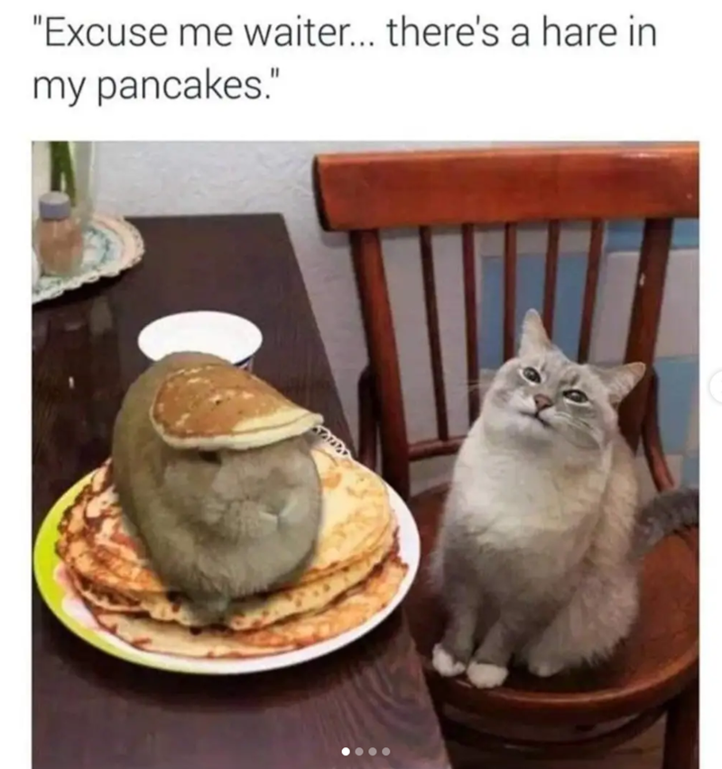 "Excuse me waiter... there's a hare in my pancakes."